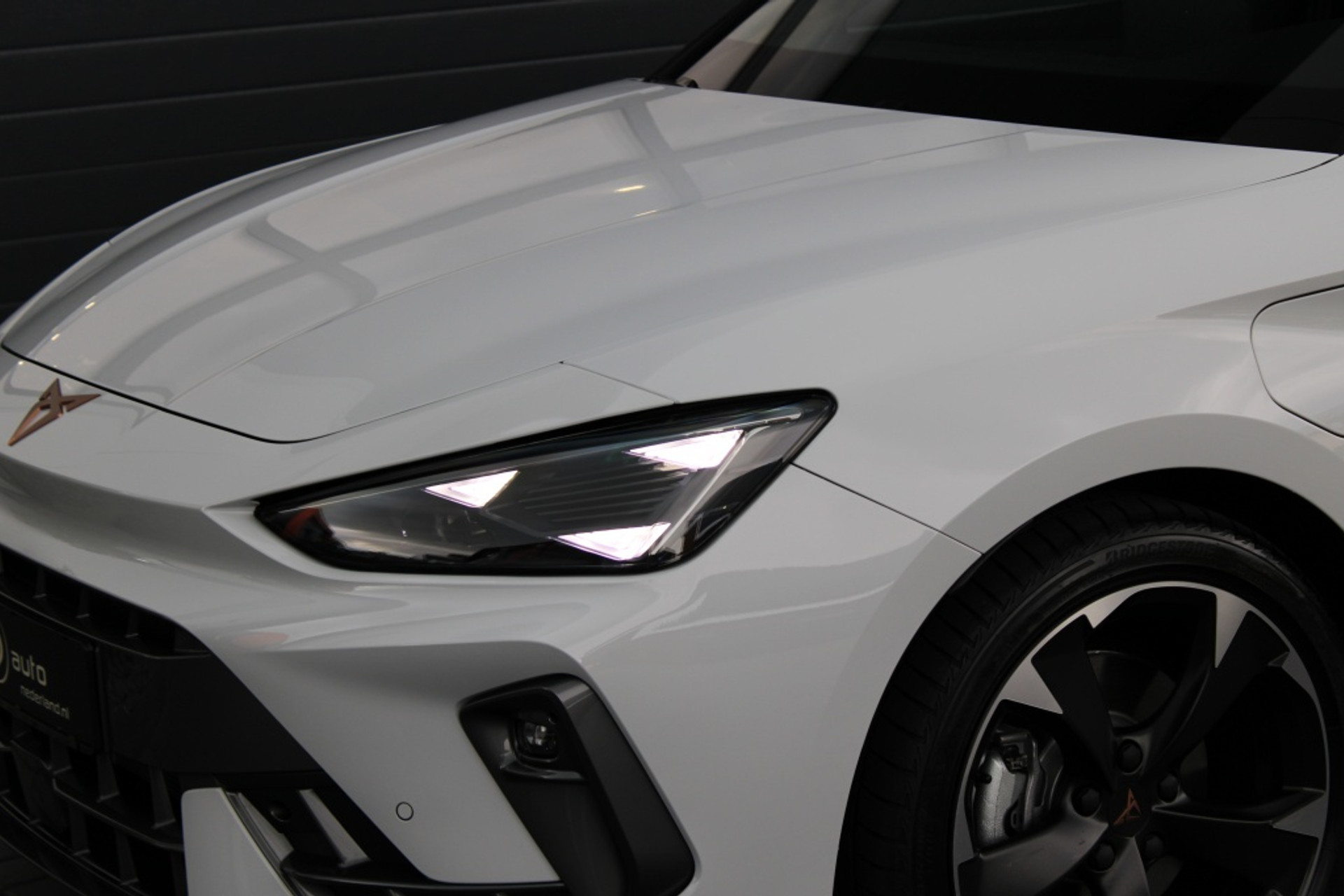 45496201-7.jpg
